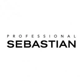 logo sebastien professional