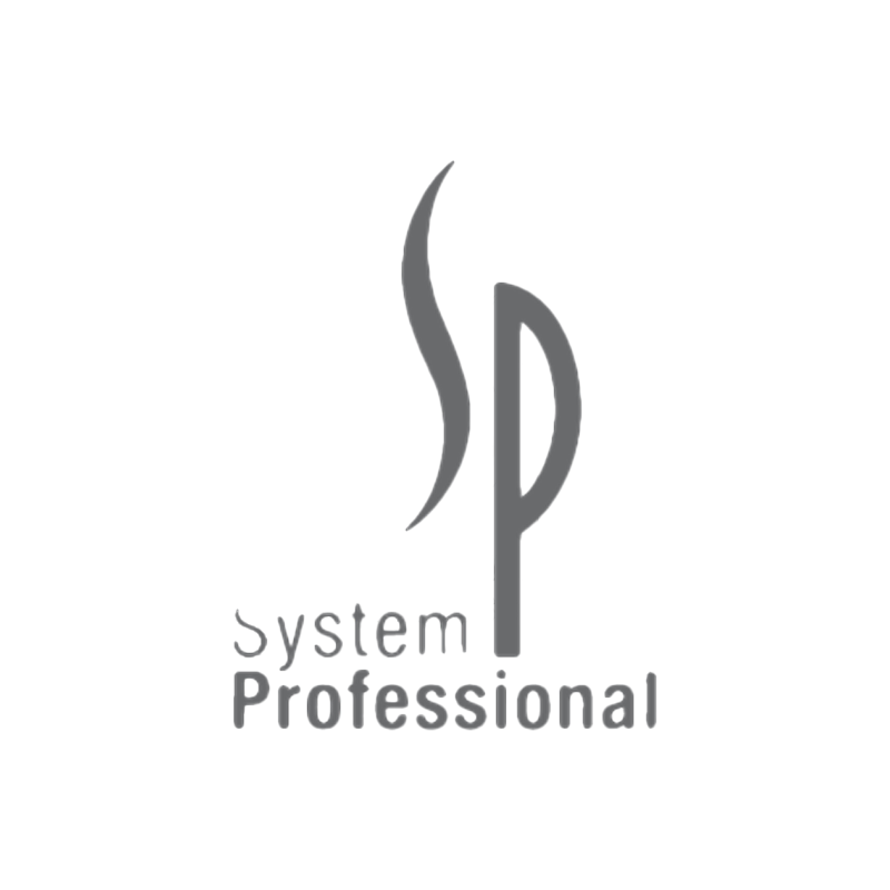 logo system-professional